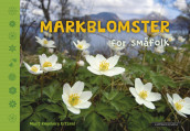 Markblomster for småfolk av Marit Røgeberg Ertzeid (Innbundet)