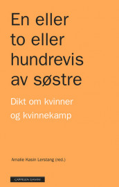 En eller to eller hundrevis av søstre (Innbundet)