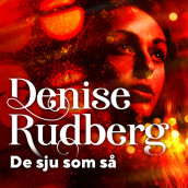 De sju som så av Denise Rudberg (Nedlastbar lydbok)