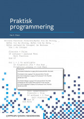 Praktisk programmering av Kai A. Olsen (Ebok)