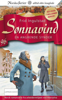 En angrende synder av Frid Ingulstad (Ebok)