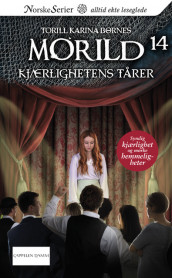 Kjærlighetens tårer av Torill Karina Børnes (Ebok)