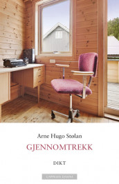 Gjennomtrekk av Arne Hugo Stølan (Ebok)