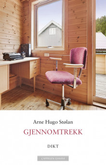 Gjennomtrekk av Arne Hugo Stølan (Ebok)