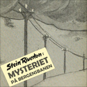 Mysteriet på Bergensbanen av Stein Riverton (Nedlastbar lydbok)