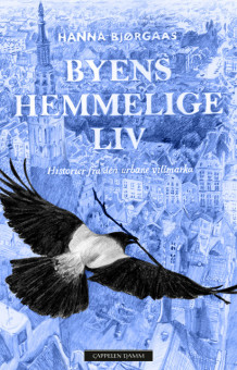 Byens hemmelige liv av Hanna Bjørgaas (Innbundet)