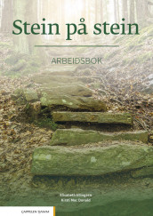 Stein på stein Arbeidsbok (2021) av Elisabeth Ellingsen og Kirsti Mac Donald (Heftet)