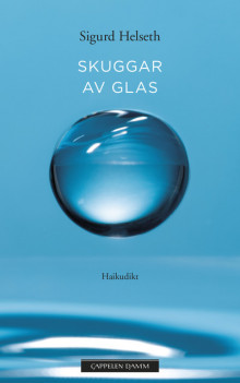 Skuggar av glas av Sigurd Helseth (Ebok)