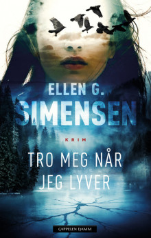 Tro meg når jeg lyver av Ellen Gustavsen (Innbundet)