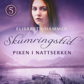 Piken i nattserken av Elisabeth Hammer (Nedlastbar lydbok)