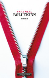 Bollekinn av Sara Mesa (Ebok)