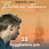 Trygghetens pris av Merete Lien (Nedlastbar lydbok)