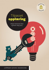 Tilpasset opplæring av Peder Haug og Mirjam Harkestad Olsen (Heftet)