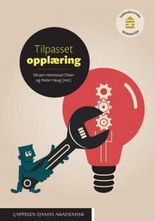 Tilpasset opplæring av Mirjam Harkestad Olsen og Peder Haug (Heftet)