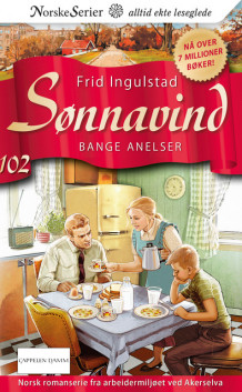 Bange anelser av Frid Ingulstad (Ebok)