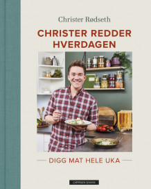 Christer redder hverdagen av Christer Rødseth (Innbundet)