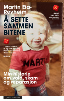 Å sette sammen bitene av Martin Revheim (Ebok)