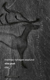 eins pust av Mathias Nyhagen Asplund (Innbundet)