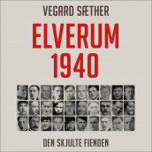Elverum 1940 av Vegard Sæther (Nedlastbar lydbok)