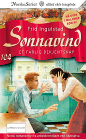 Et farlig bekjentskap av Frid Ingulstad (Ebok)