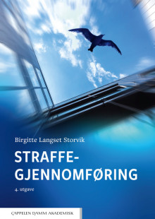 Straffegjennomføring av Birgitte Langset Storvik (Heftet)