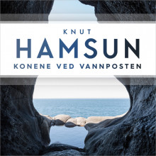 Konene ved vannposten av Knut Hamsun (Nedlastbar lydbok)