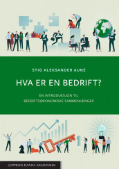 Hva er en bedrift? av Stig Aleksander Aune (Heftet)