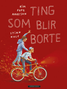 Ting som blir borte av Kim Fupz Aakeson (Innbundet)