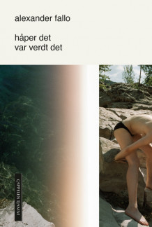 håper det var verdt det av Alexander Fallo (Ebok)