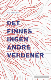 Det finnes ingen andre verdener av Stig Beite Løken (Ebok)