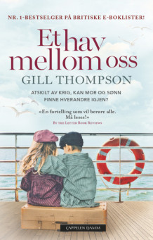 Et hav mellom oss av Gill Thompson (Heftet)