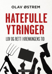 Hatefulle ytringer av Olav Østrem (Ebok)