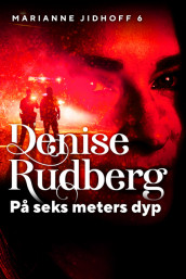 På seks meters dyp av Denise Rudberg (Ebok)