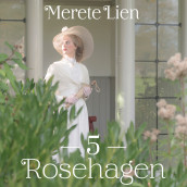 Møtet av Merete Lien (Nedlastbar lydbok)