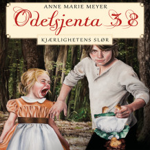 Kjærlighetens slør av Anne Marie Meyer (Nedlastbar lydbok)