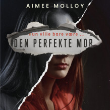Den perfekte mor av Aimee Molloy (Nedlastbar lydbok)