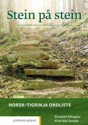 Stein på stein Norsk-tigrinja ordliste (2021) av Elisabeth Ellingsen og Kirsti Mac Donald (Heftet)