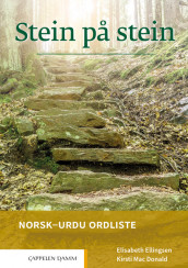 Stein på stein Norsk-urdu ordliste (2021) av Elisabeth Ellingsen og Kirsti Mac Donald (Heftet)