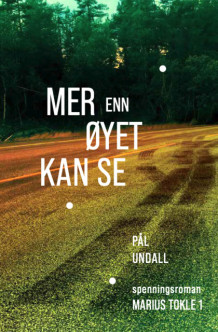 Mer enn øyet kan se av Pål Undall (Ebok)