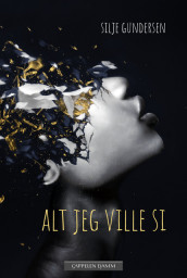 Alt jeg ville si av Silje Gundersen (Ebok)