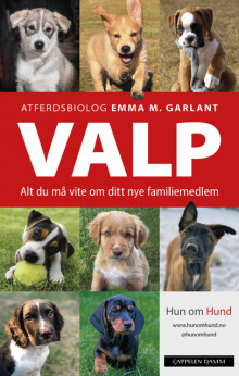 VALP av Emma M. Garlant (Innbundet)