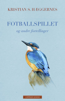 Fotballspillet og andre fortellinger av Kristian S. Hæggernes (Innbundet)