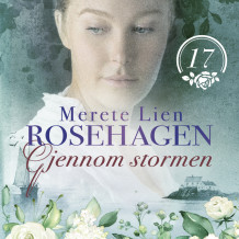 Gjennom stormen av Merete Lien (Nedlastbar lydbok)