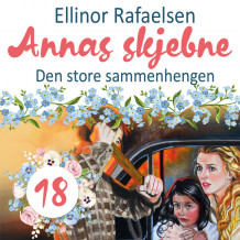 Den store sammenhengen av Ellinor Rafaelsen (Nedlastbar lydbok)