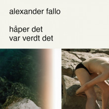 håper det var verdt det av Alexander Fallo (Nedlastbar lydbok)