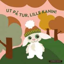 Ut på tur, lille kanin! av Blafre (Kartonert)