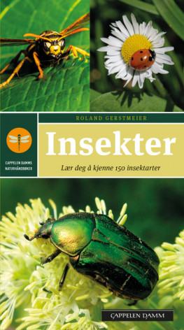 Omslag - Insekter