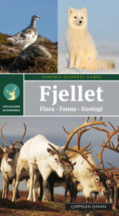 Fjellet av Honoria S. Bjerknes Hamre (Heftet)