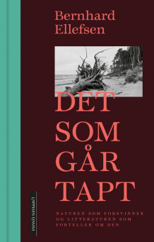 Det som går tapt av Bernhard Ellefsen (Ebok)