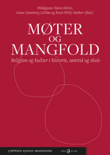 Møter og mangfold: Religion og kultur i historie, samtid og skole av Hildegunn Valen Kleive, Jonas Gamborg Lillebø og Knut-Willy Sæther (Heftet)